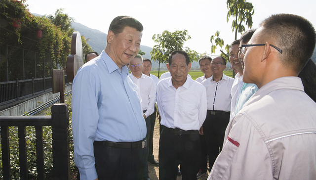 总书记,袁隆平院士,测产,南繁,共和国勋章,杂交水稻之父,伟大的事业,农业科技人员,亩产,种植示范