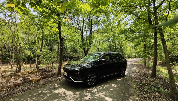 威马汽车,车圈观察