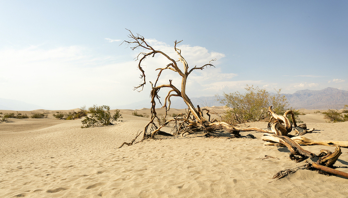 天下故事,气候变化