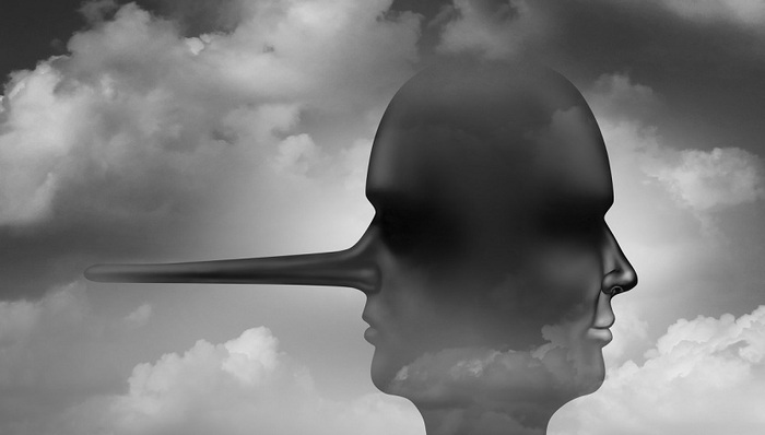 每日互动,萝卜章,造假,立案调查,股价下跌