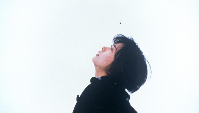 情书,Netflix,上映,观众,影迷,阿凡达,国内市场,指环王,新片,经典影片