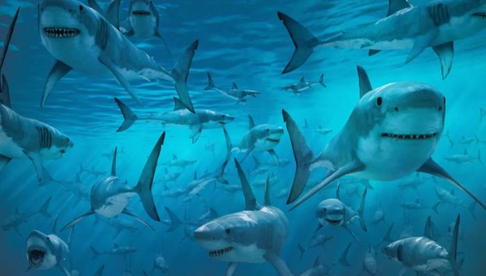 视频,直播,社区,多元化增长,电竞,斗鱼,腾讯,同比增长,虎牙,知乎