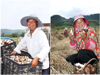 关注农产品消费网络口碑，中国农大发布“2021农货新消费报告”