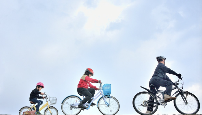 计划生育,育儿,经济学,生育