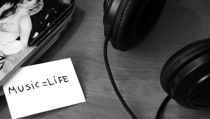 盈利瓶颈,音乐社区,版权,亏损