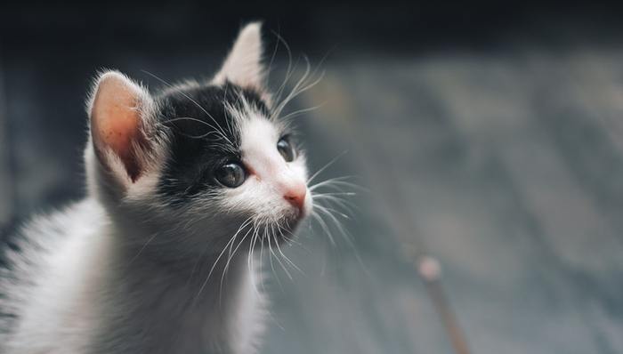 智能化,安全问题,融资