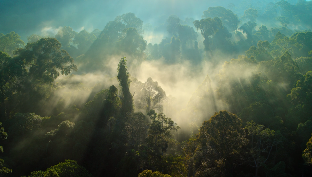 那知识青年并非零余人的形象，而是上升或陨落的星火 | 一周新书推荐