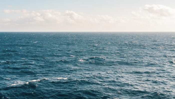海洋，临港新片区，智能制造,蓝色经济,上海
