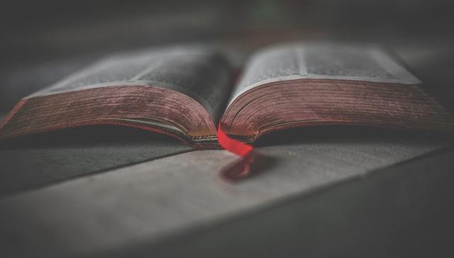 商业化进程,亏损