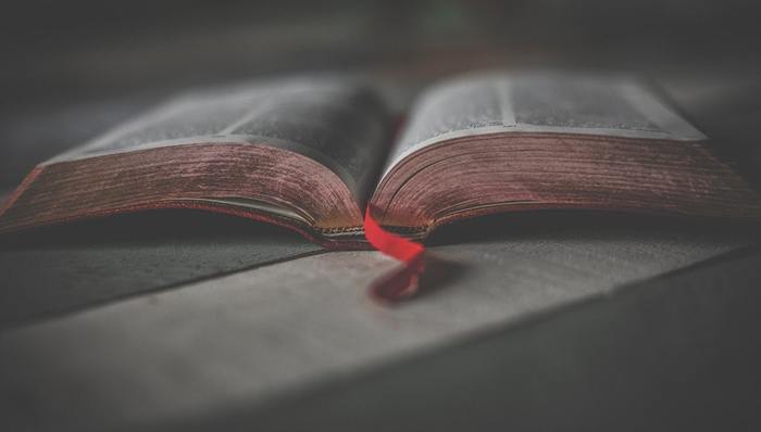 商业化进程,亏损