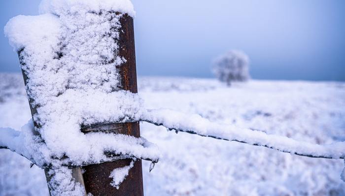 资本寒冬,业务关停,烧钱营销