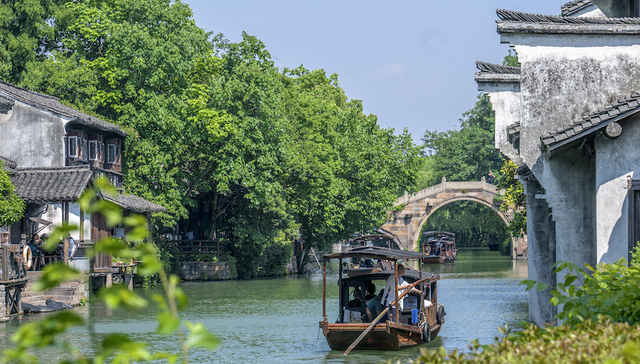 文旅100人 | 乌镇总裁助理姚洁:后疫情时代打造属于乌镇与新世代的文化IP