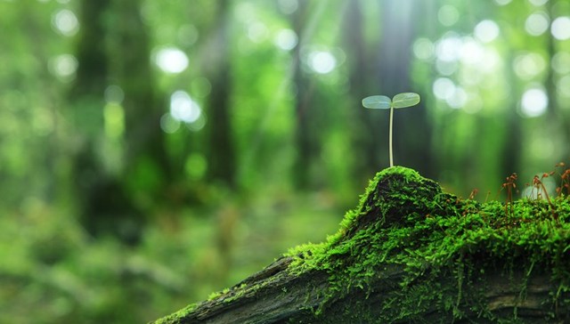 绿水青山生态价值怎么算？浙江获准探索GEP核算应用体系