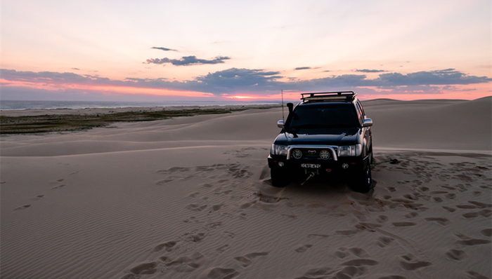 丰田,业绩,新能源汽车