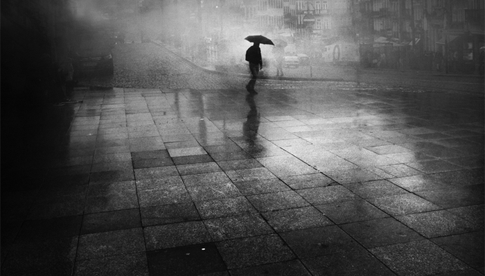 A股市场,舍得酒,操纵股票,证监会,董珍宝