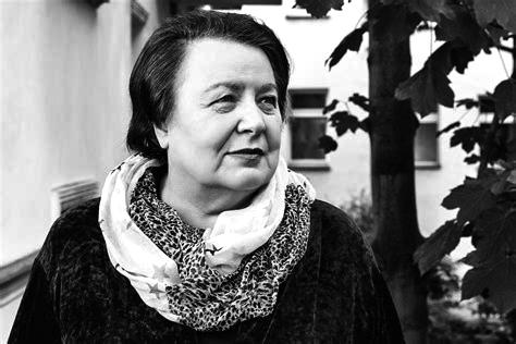 苏联,乌克兰,纳粹,二战,专访