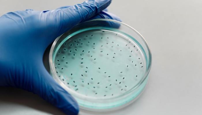 行业发展,肠道微生物,商业化