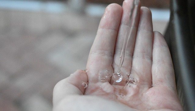 电视剧,网剧,娱乐