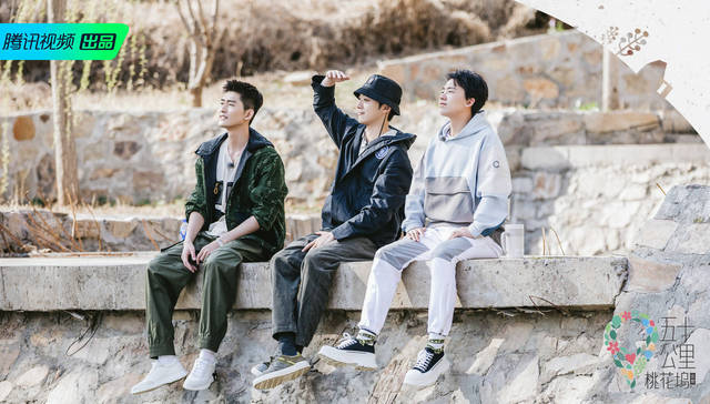 “桃花坞”往前多跨了一步，想靠综艺打造理想社区还差什么？