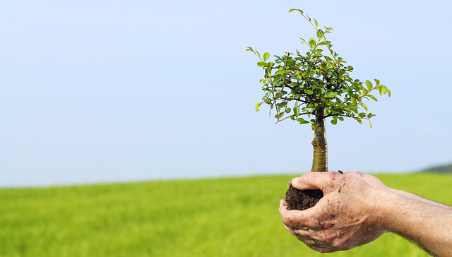 新一轮创富，正在发生