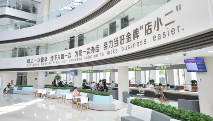 临港新片区，行政改革，证照改革