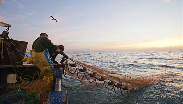 中国正式实施公海自主休渔，能否成长效举措尚待评估