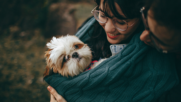宠物经济,中国市场,商业模式,资本市场