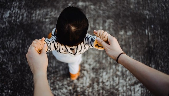 地方新闻精选｜浙江今秋拟试行家长学习积分制 青岛遭遇15年来最大规模浒苔侵袭