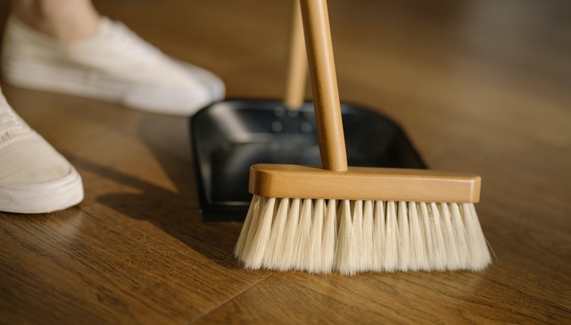 IPO,天鹅到家,招股书