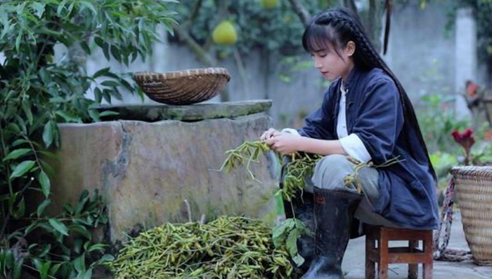 李子柒,字节跳动,投资