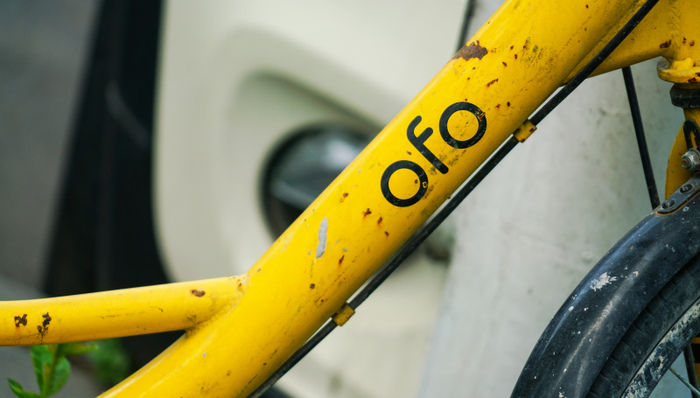 共享单车,ofo,创业