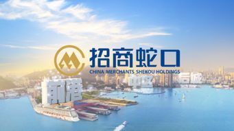 投资,招商蛇口,地产