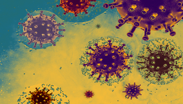 财说| 国内首款CAR-T药来袭，哪些药企值得特别关注？