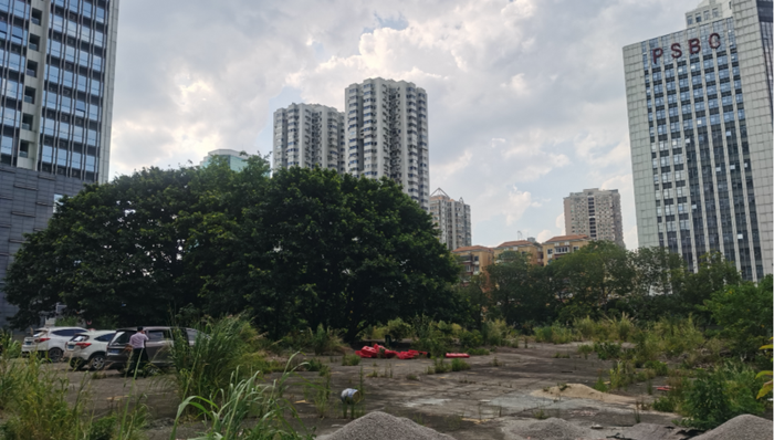 时隔9年广州珠江新城再推商地，“老地主”合景泰富底价拿下