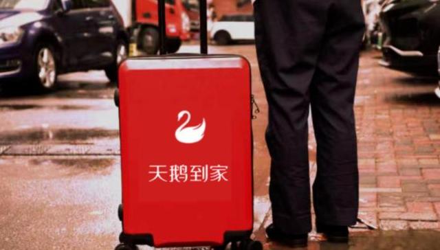 天鹅到家,商业模式,业绩