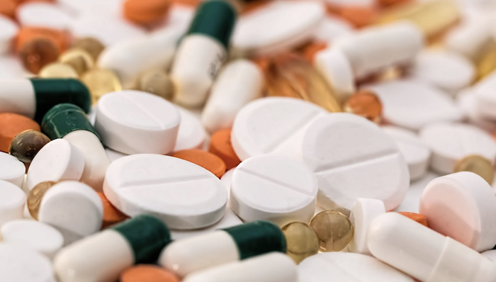 生物医药，研发，浦东，人才,引领区,直通车,,华领医药,董事长