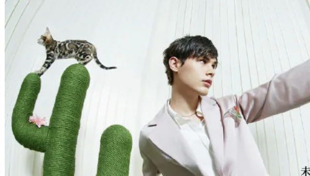 品牌,营销,消费