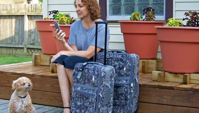 金毛托运致死主人决定起诉，宠物托管乱象多屡遭投诉