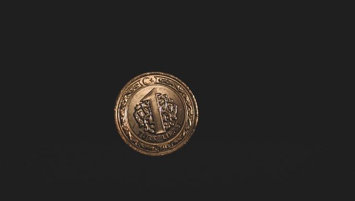 资本游戏,优质资产