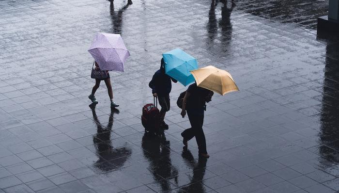 台风,暴雨,烟花,登陆,气象,天气,防汛,水文,上海,防汛办