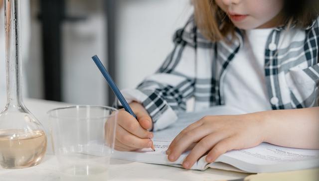 宝宝巴士,幼儿教育