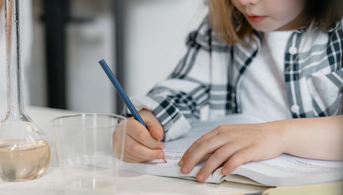 宝宝巴士,幼儿教育