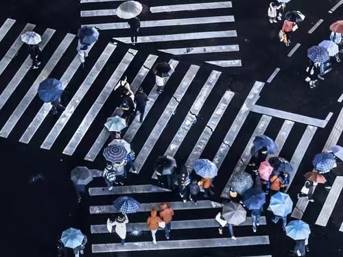 台风,烟花,停运,长三角,停航