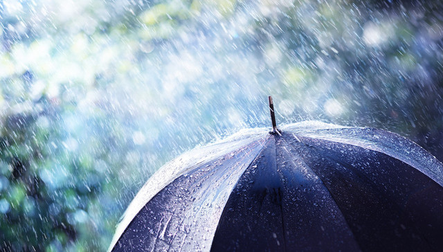 台风“烟花”，金山，防汛防台Ⅰ级应急响应