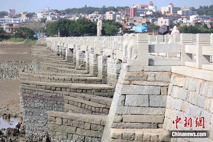 7月8日，泉州洛阳桥。蒋启明 摄