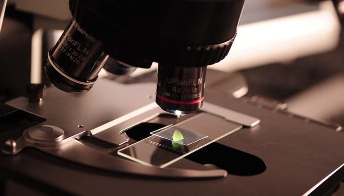 化妆品检测,虚假报告