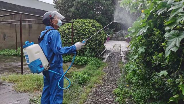 上海市爱国卫生运动委员会，台风烟花，蚊虫