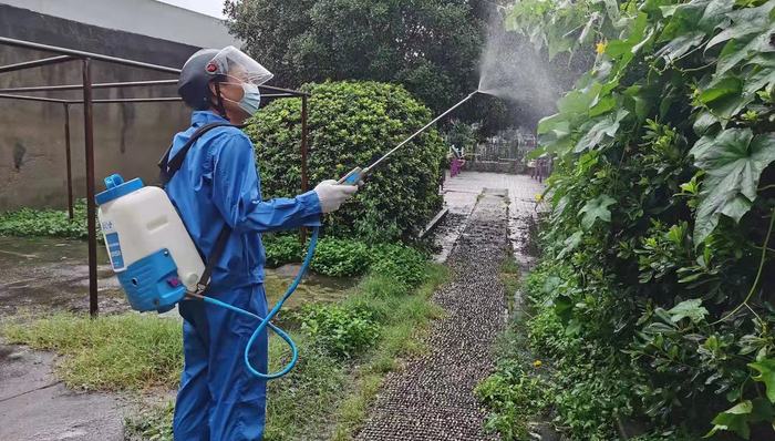 上海市爱国卫生运动委员会，台风烟花，蚊虫