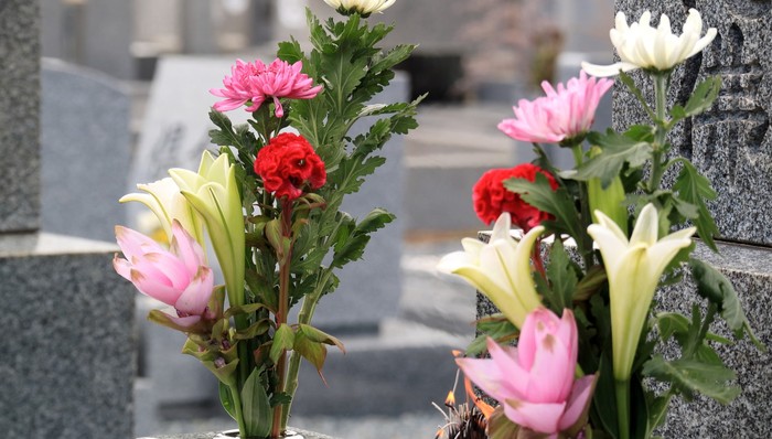 买墓地真香，不断并购后福寿园上半年业绩大增