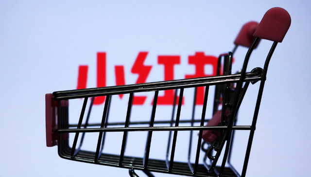 内容社区,多元化发展,用户结构